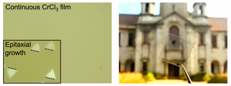 2DMM_Vivek-Kumar-768x287.png