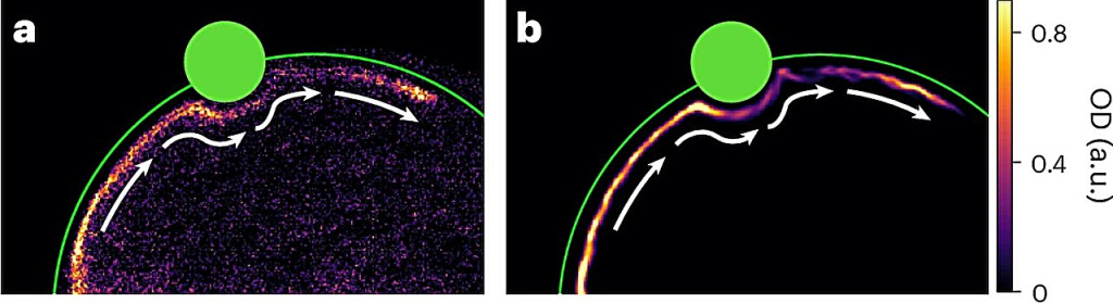 researchers-capture-im_large.jpg